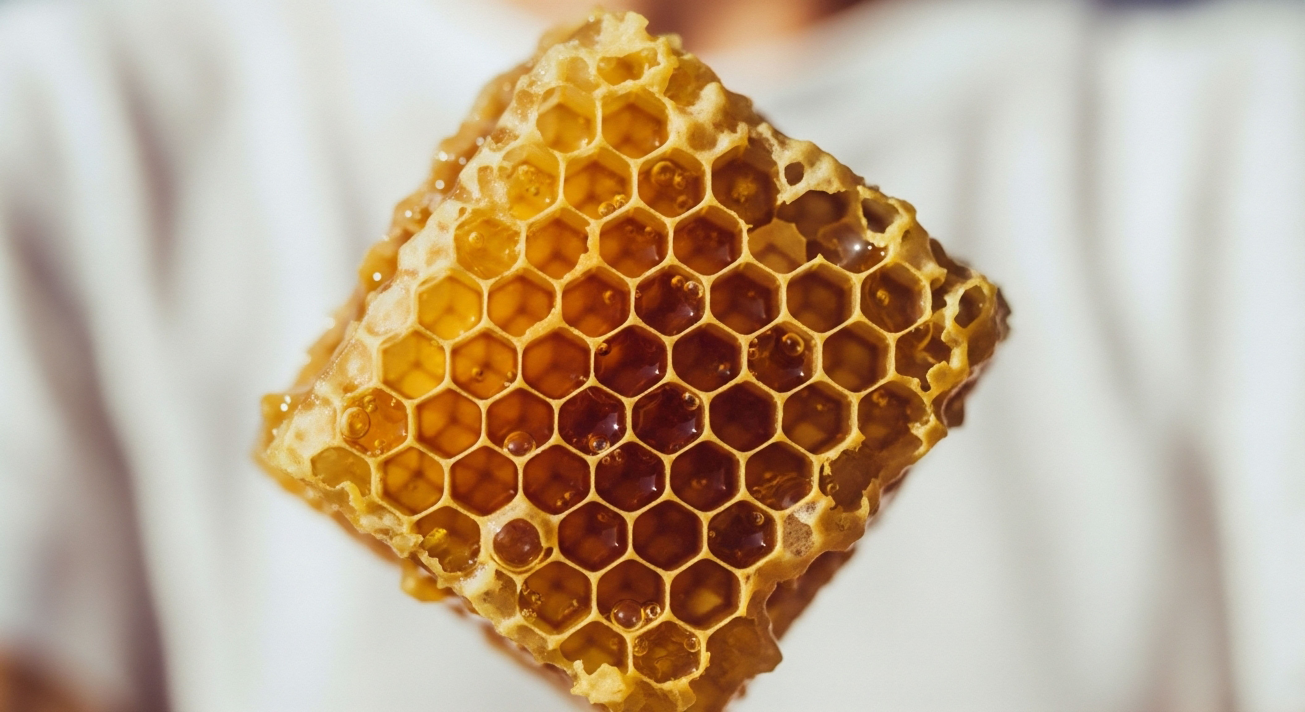 Vibrant golden honeycomb shows cellular integrity, reflecting physiological balance. This embodies precision for hormone optimization, supporting metabolic health, regenerative medicine protocols, and optimal patient journey outcomes
