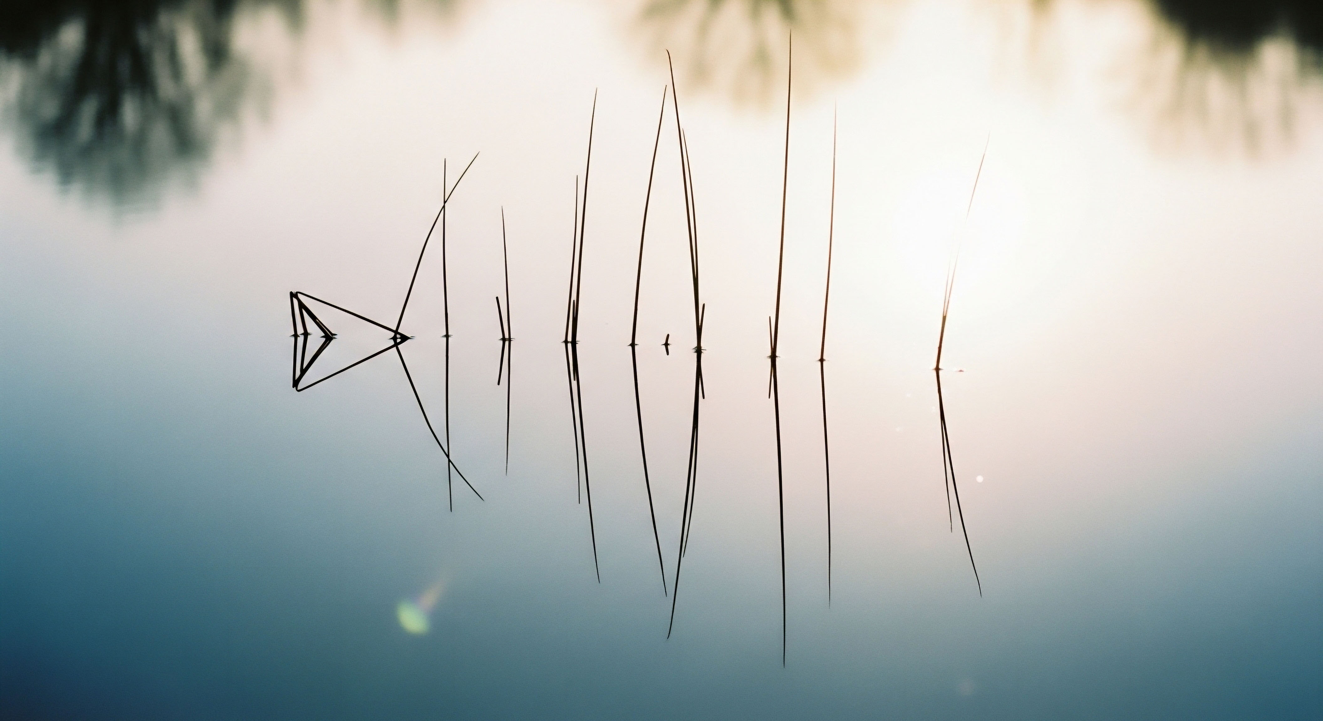 Placid water reflects delicate reeds, forming an abstract structure, symbolizing foundational physiological equilibrium and optimal cellular function. This represents precise hormone optimization, promoting metabolic health through peptide therapy and guiding a patient journey supported by clinical evidence