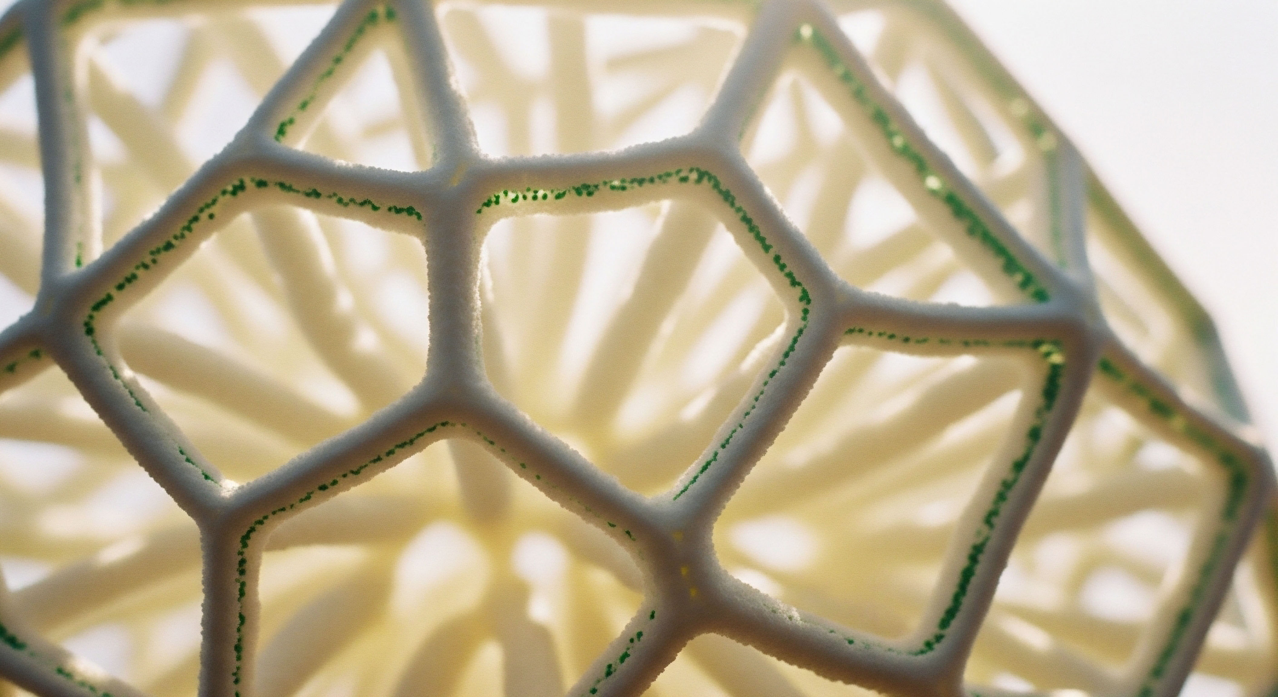 A magnified white cellular lattice, imbued with green functional agents, illustrates cellular regeneration through peptide therapy for hormone optimization, metabolic health, tissue repair, and clinical wellness pathways yielding patient outcomes.