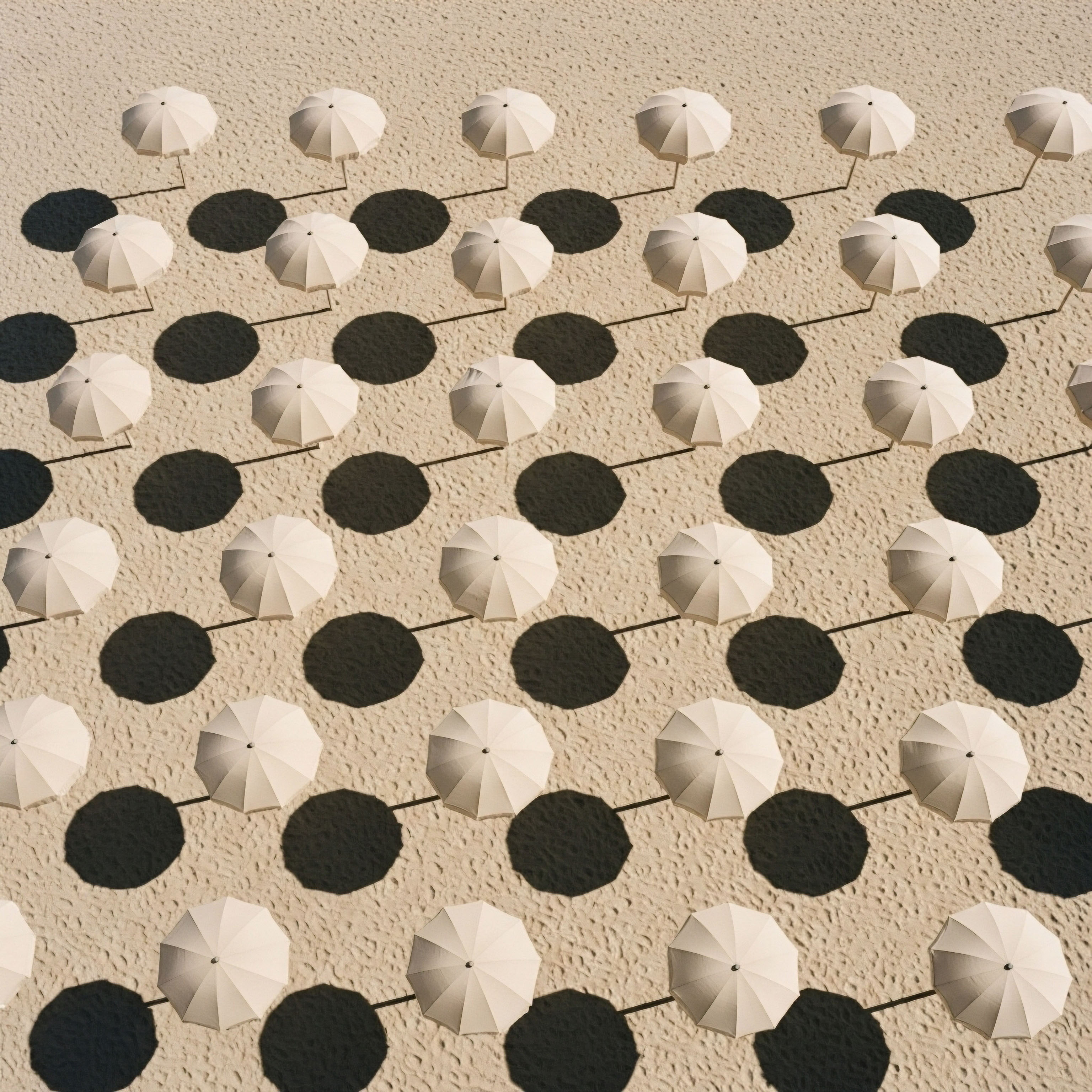 Uniform umbrellas on sand with shadows depict standardized clinical protocols in hormone optimization. Each represents individualized patient care, reflecting metabolic health and physiological response to peptide therapy for cellular function and therapeutic efficacy